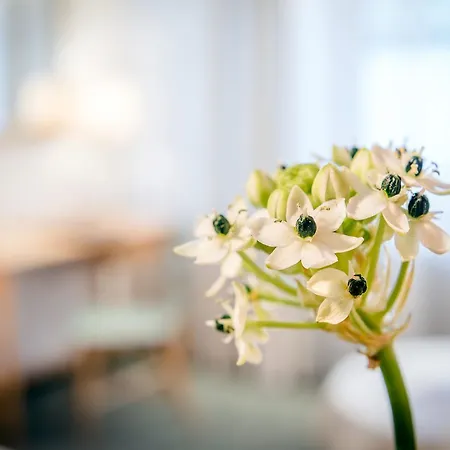 Cresta.alpin.sport.hotel 4* Lech am Arlberg