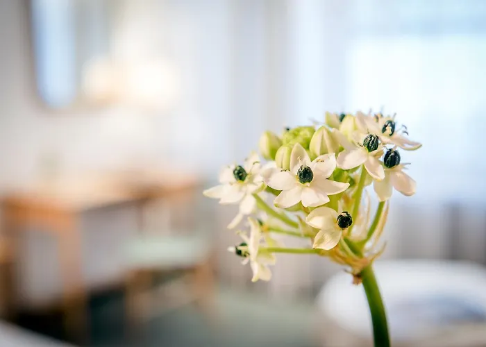 Cresta.alpin.sport.hotel 4* Lech